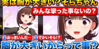 【ホロライブ】そらちゃん、夜中に突然そらともに夢を与える