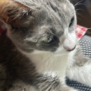 大きな地震でしたが、無事です。