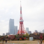 シニアの楽しみ