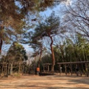 庚申山公園　３月２３日