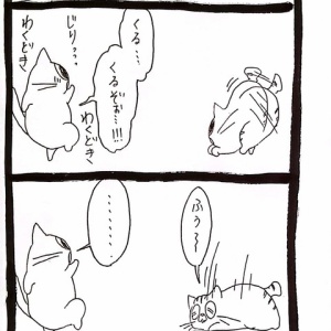 仮病の確認方法 ﾈｺﾁｬﾝのﾆﾝｹﾞﾝ育成日記 Powered By ライブドアブログ