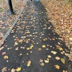 ニューヨーク最新情報。今日のNYを完全実況生中継でお伝えします!!!