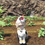 『FF14 無人島の畑でアイルパンプキンとアイルトマトがスクスク育っていて嬉しいですヾ(〃^∇^)ﾉ　レベル１　開拓ランク１０』の画像