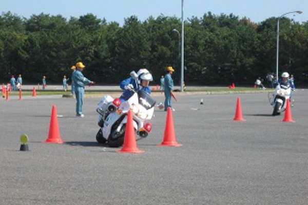 連休はアスリートの応援 なごみのプライベートル ム 連休はアスリートの応援 なごみのプライベートル ム