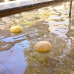 Tafelmusik 第２集