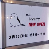 『「カフェ シマエナガ」が3/13(金)オープン（春日井市八幡町）』の画像