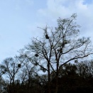 わが社第49期と小熊秀雄賞