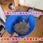 ガオだらけな日々　