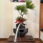 セレクトショップ「fortissimo」