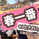 観音崎公園さくらまつりのドッグラン。