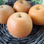 減農薬野菜、果物、お花、こだわりのうつわのお店　- 花うつわ大地（花咲農園） -
