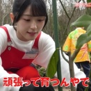 AKB48が日本各地で産業を応援。桜咲くアイドルの推し旅とは何か
