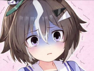 【ウマ娘】B決3位ルち「あーーー積んだ。もうヤダ。」