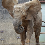 激怒プンプン丸な姉妹