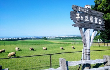 『伊藤くんおめでとう！（ファイターズ』の画像