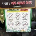 韓国地方旅行　デジョン旅⑧　市民のオアシス　大田広域市『ハンバッ樹木園　西園』　대전광역시　한밭수목원 서원