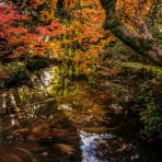 撃沈風景写真２