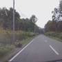 【動画】北海道のクマさん、それなりのスピードを出していた乗用車に衝突 → 結果…