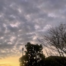 （6091）師走カウントダウン。