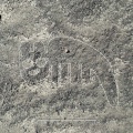ナスカの地上絵新たに248点発見　山形大学発表