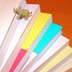 フットサル中毒