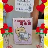 『真心募金ありがとうございます《はやかわ動物病院》』の画像