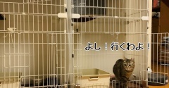 彩ちゃん1.5mの大冒険