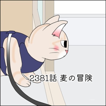 あんこ＆麦2381 麦の冒険