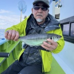 新安浦港・長谷川丸釣果