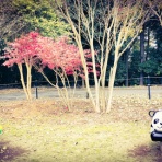 STUDIO F+ (studiofplus) Official Blog