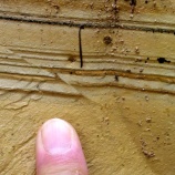 『模型実験のような綺麗な逆断層』の画像