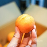 初挑戦！杏のシロップ煮を作ってみた