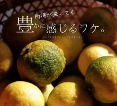 「手取り」が減っても暮らしが「豊か」になった話。