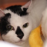 『本日、12/11(土)オープンしています』の画像