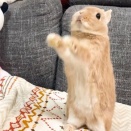 きっと無意識