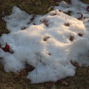 正月早々、首都圏で雪？