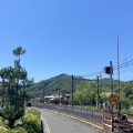 ������ǥ󥦥������βᤴ���������줾��