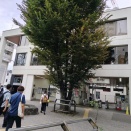奥沢駅に行ってみた