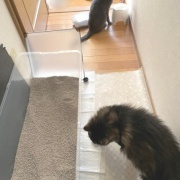 衣替えをして古着を売りに行こうと思ったら・・・