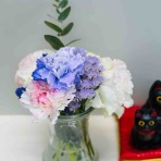 西千葉の鍼灸整骨院　院長イチローのブログ