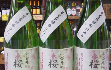 �ؿ��ߤǤ������Ǥ����٤β���