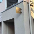 阿佐ヶ谷のたおや