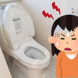 『【悪質】「トイレ修理は30万円な」 ← ウソの説明したボッタクリ業者に業務停止命令』の画像