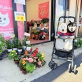 やさしさの種が芽を出しました