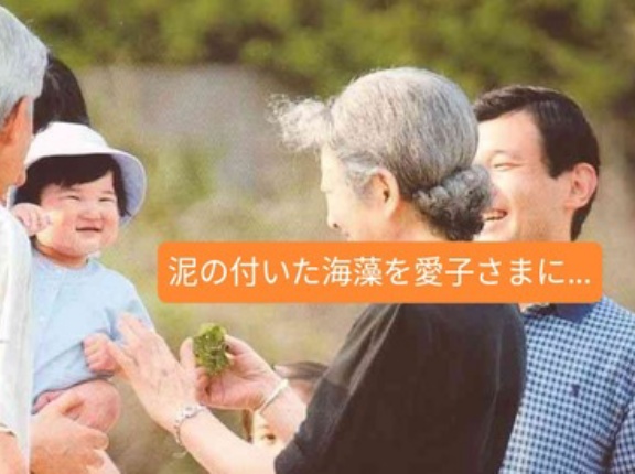 【証拠動画あり】泥の付いた海藻を愛子さまに...