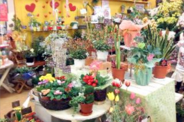 お花屋さん 多治見市 ロデオドライブ