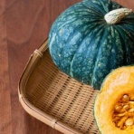 万葉歳時記 一日一葉