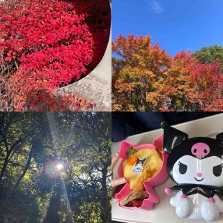 おひとりさま→高齢シンママの徒然