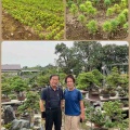吾妻五葉松の守り人・隠れた逸材の宝庫❗️