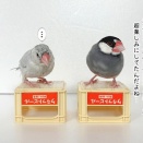 アウトレットへ行く約束